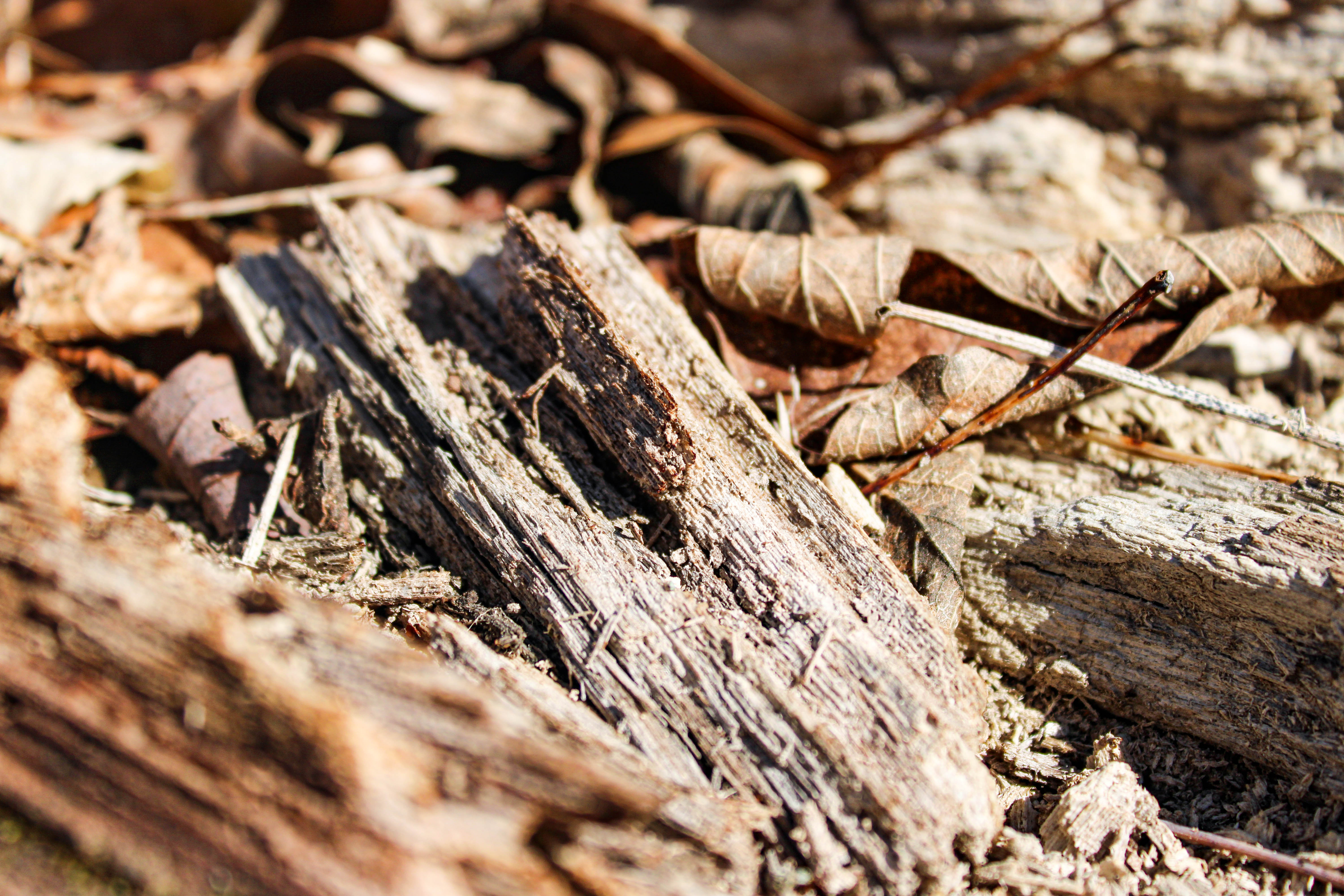 if you see this then skill issue ig